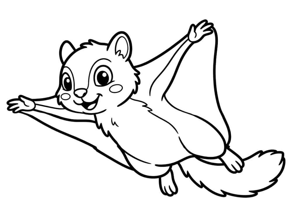 Lovely Flying Squirrel