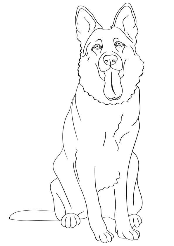 Lovely German Shepherd Coloring Game Lovely German Shepherd