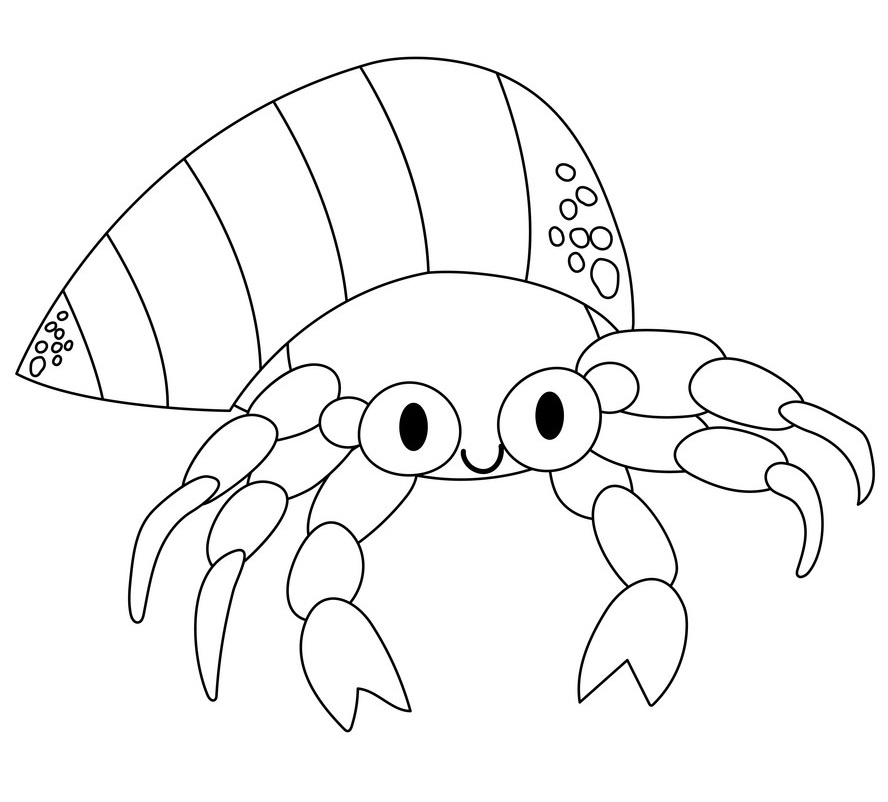 Lovely Hermit Crab Coloring Game Lovely Hermit Crab