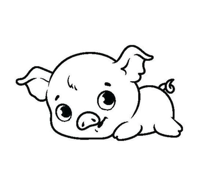 Lovely Pig Coloring Game Lovely Pig
