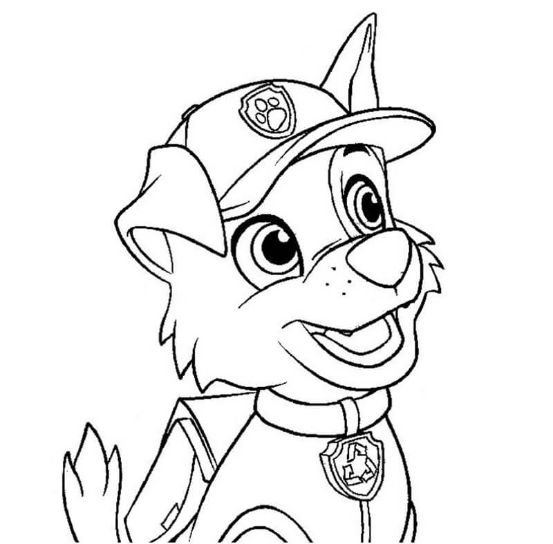 Lovely Rocky Paw Patrol