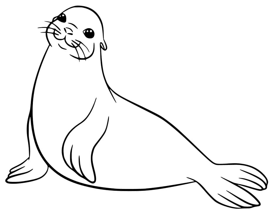 Lovely Sea Lion Coloring Game Lovely Sea Lion