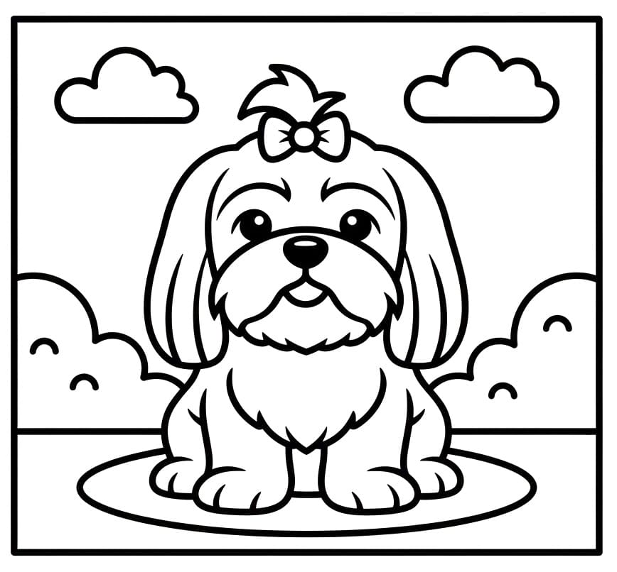Lovely Shih Tzu