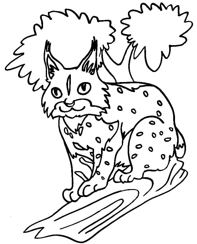 Lynx Basic