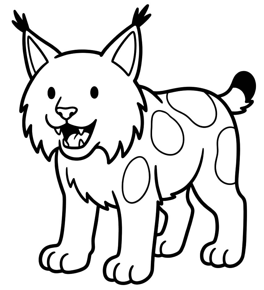 Lynx Easy
