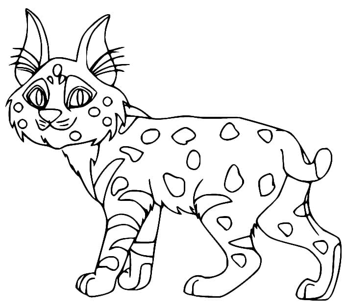 Lynx Free