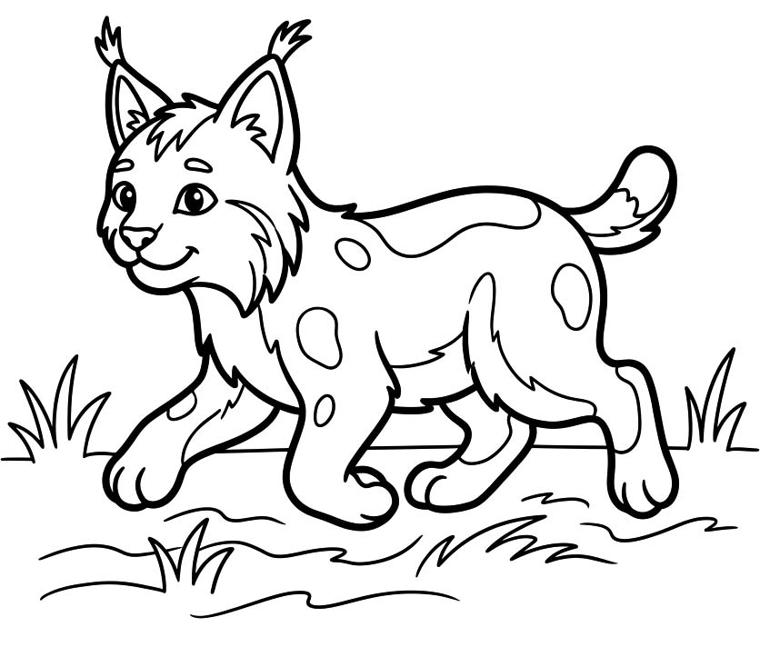 Lynx Printable
