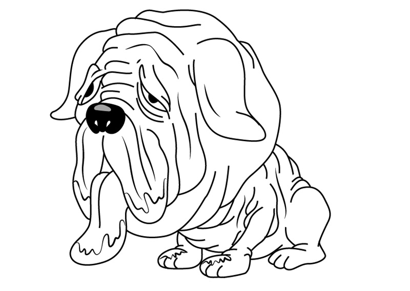 Maggoty Mastiff Ugglys Pet Shop