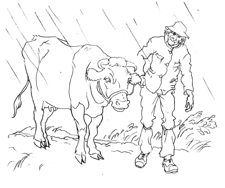 Man and A Cow Coloring Game Man and A Cow