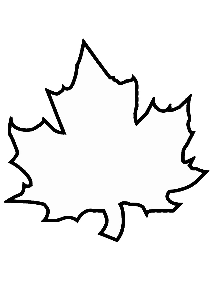 Maple Leaf