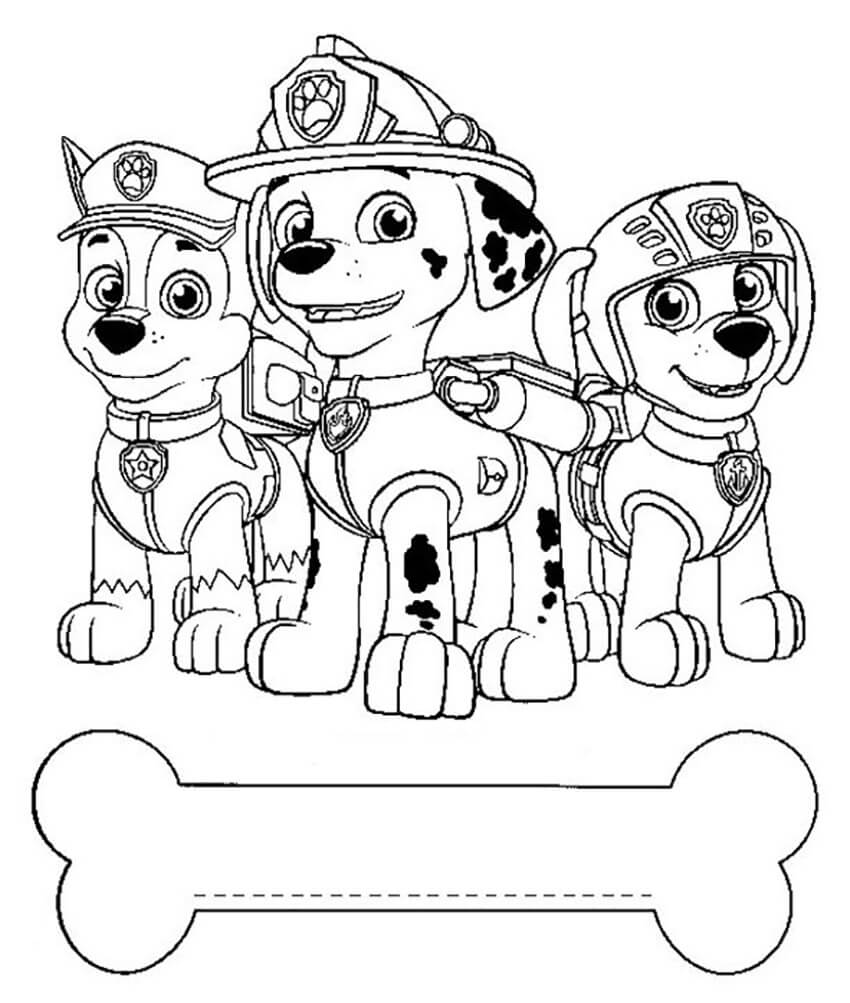 Marshall Paw Patrol 12