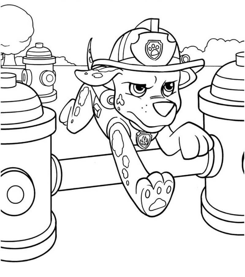 Marshall Paw Patrol 3
