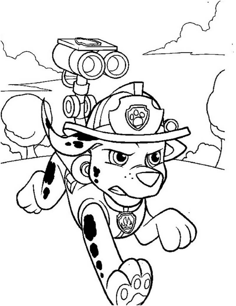 Marshall Paw Patrol 4