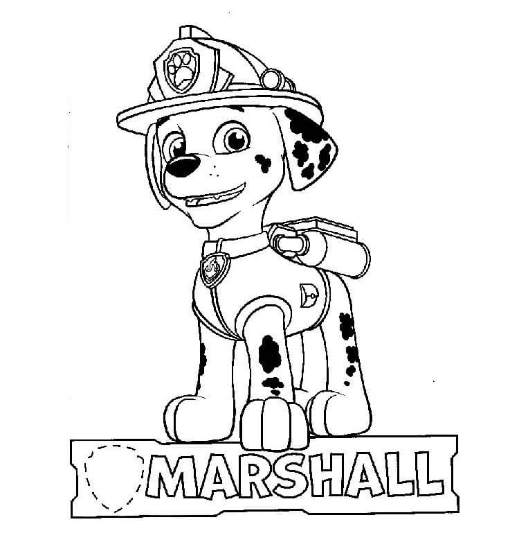 Marshall Paw Patrol