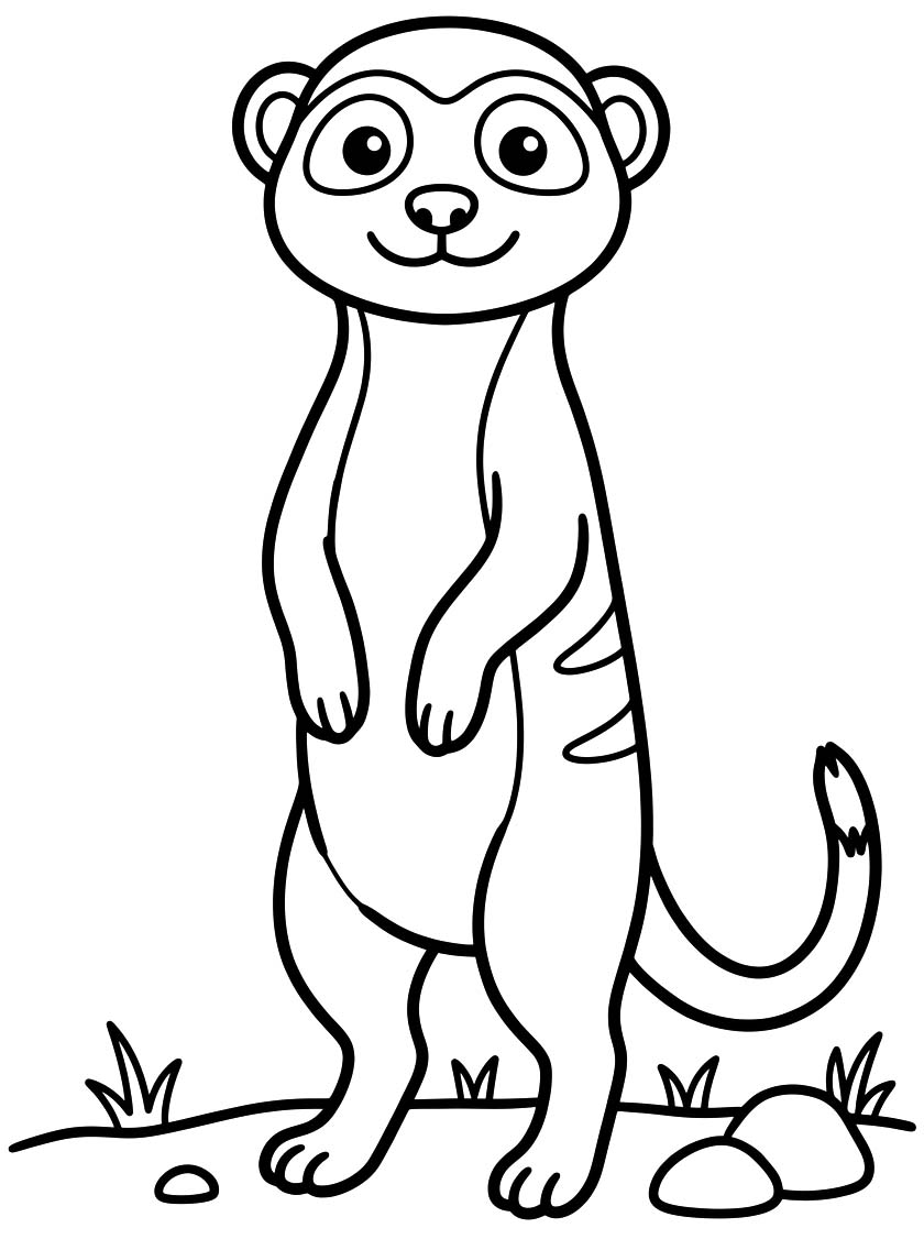 Meerkat Basic