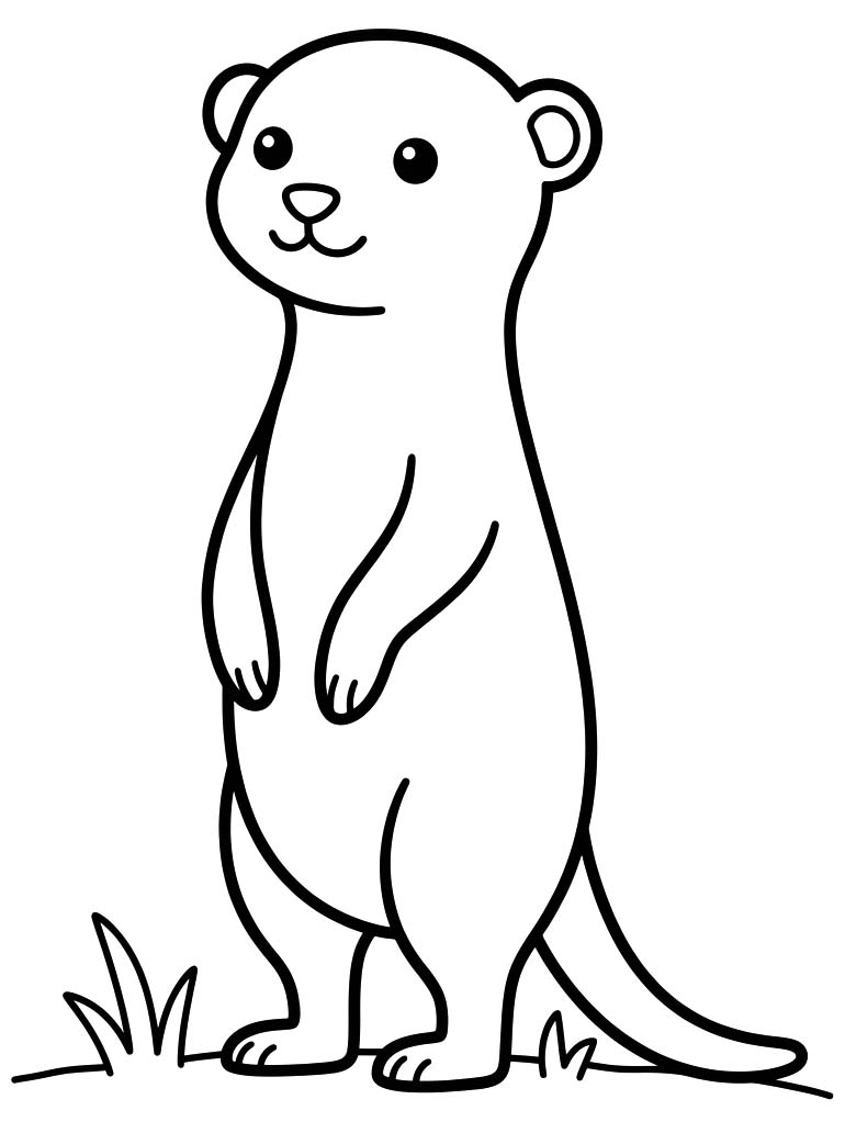 Meerkat Easy