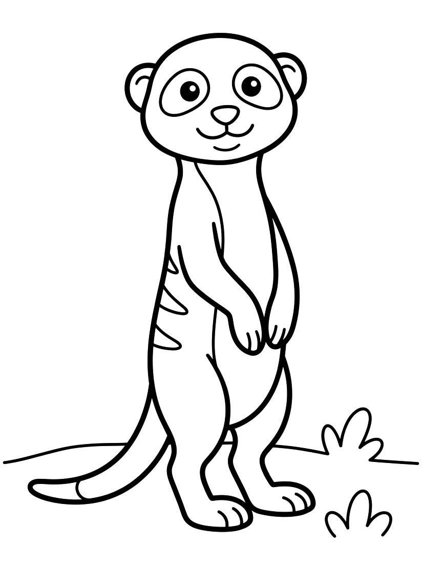 Meerkat Free