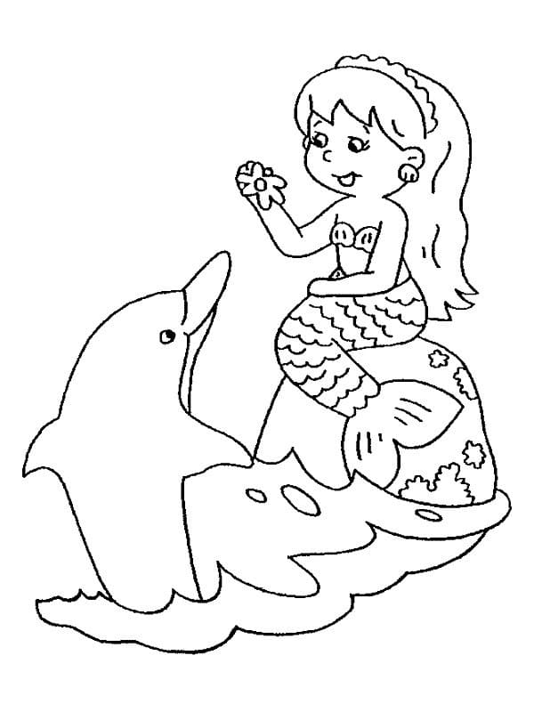 Mermaid and Dolphin