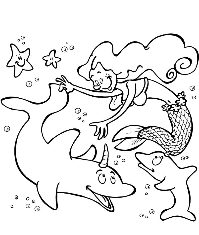 Mermaid and Dolphins Unicorn