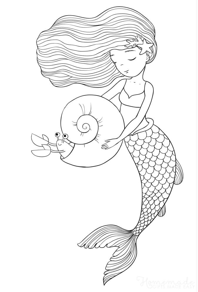 Mermaid and Hermit Crab