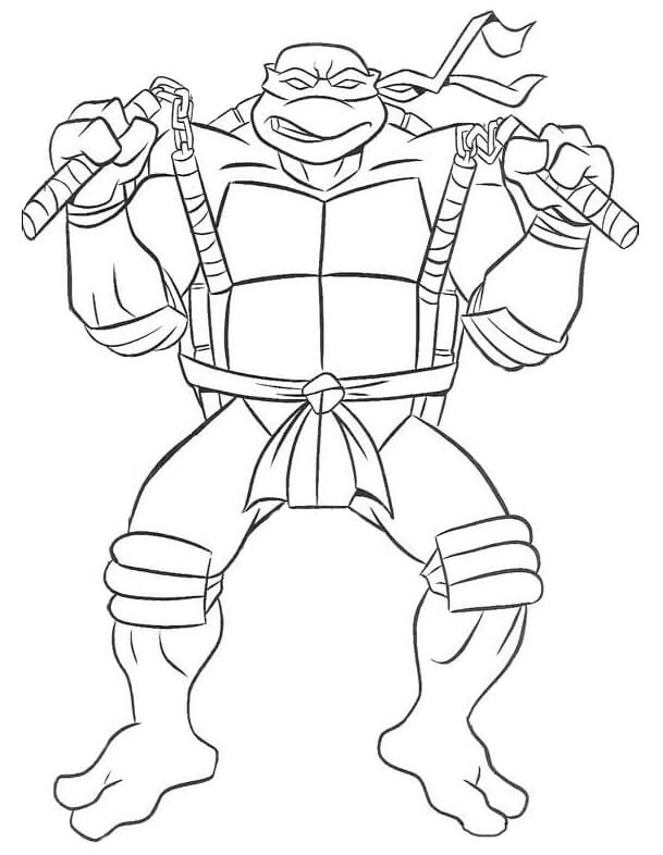 Michelangelo Ninja Turtle