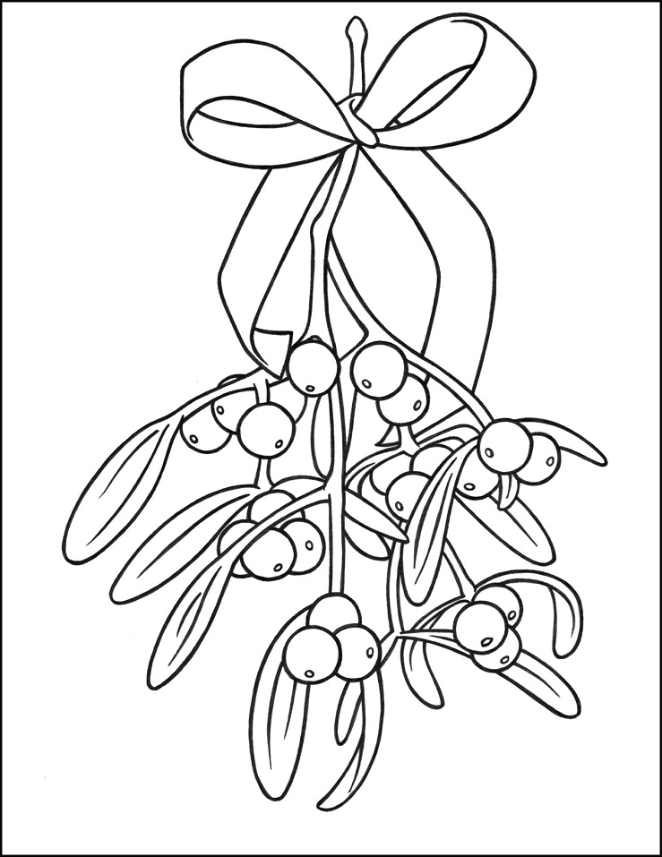 Mistletoe 5