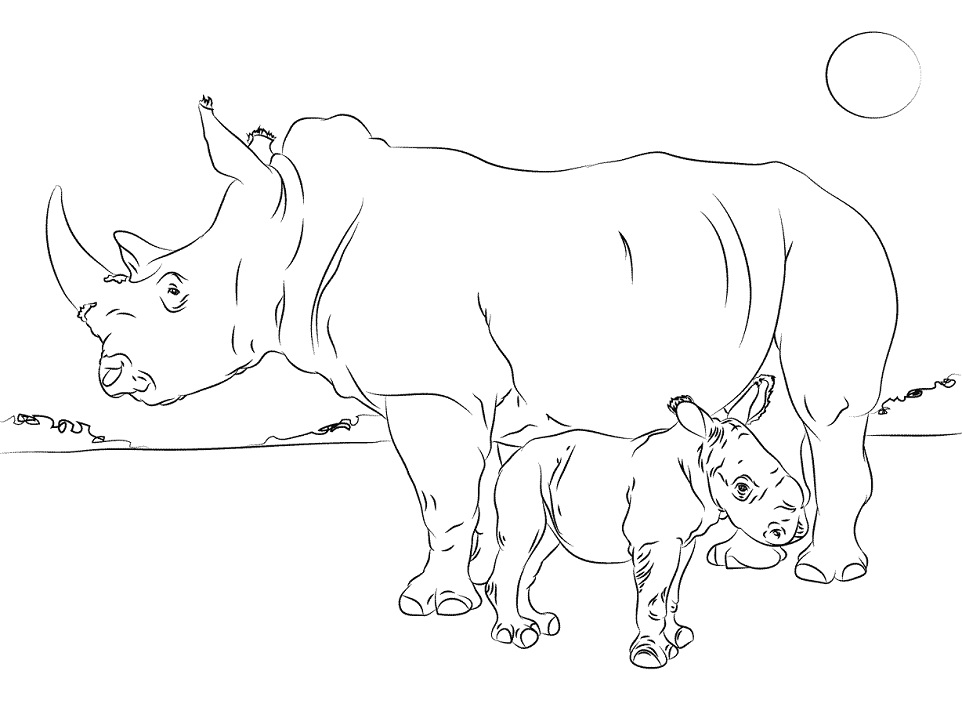 Mother Rhino and Baby Coloring Game Mother Rhino and Baby