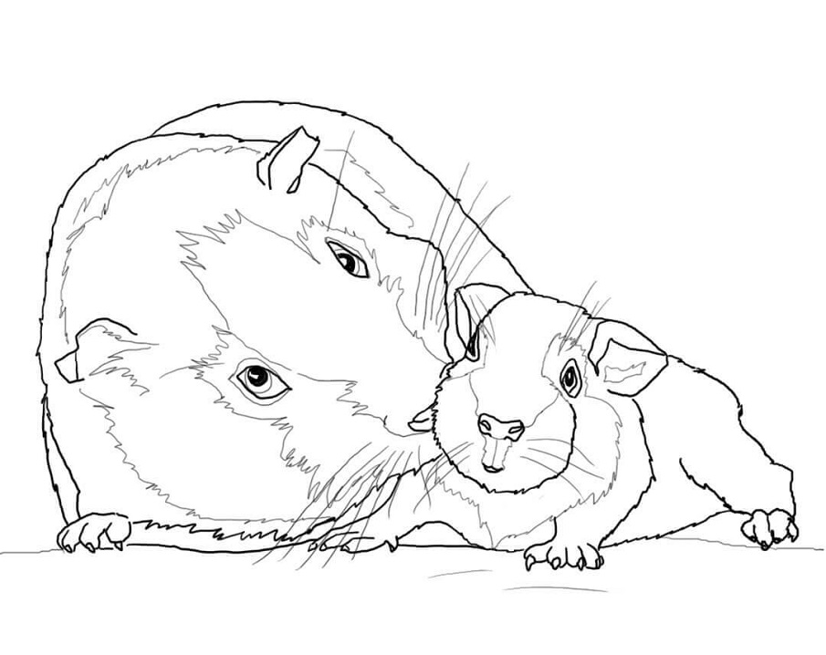 Mother and Baby Guinea Pig Coloring Game Mother and Baby Guinea Pig