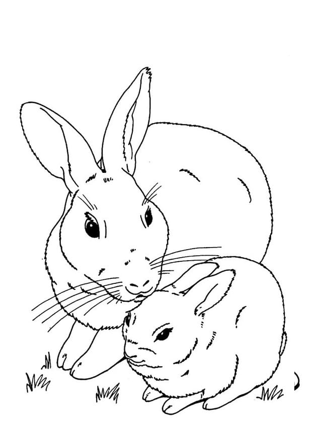 Mother and Baby Rabbit Coloring Game Mother and Baby Rabbit