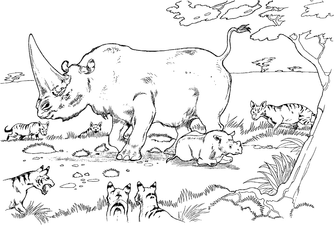 Mother and Baby Rhino Coloring Game Mother and Baby Rhino