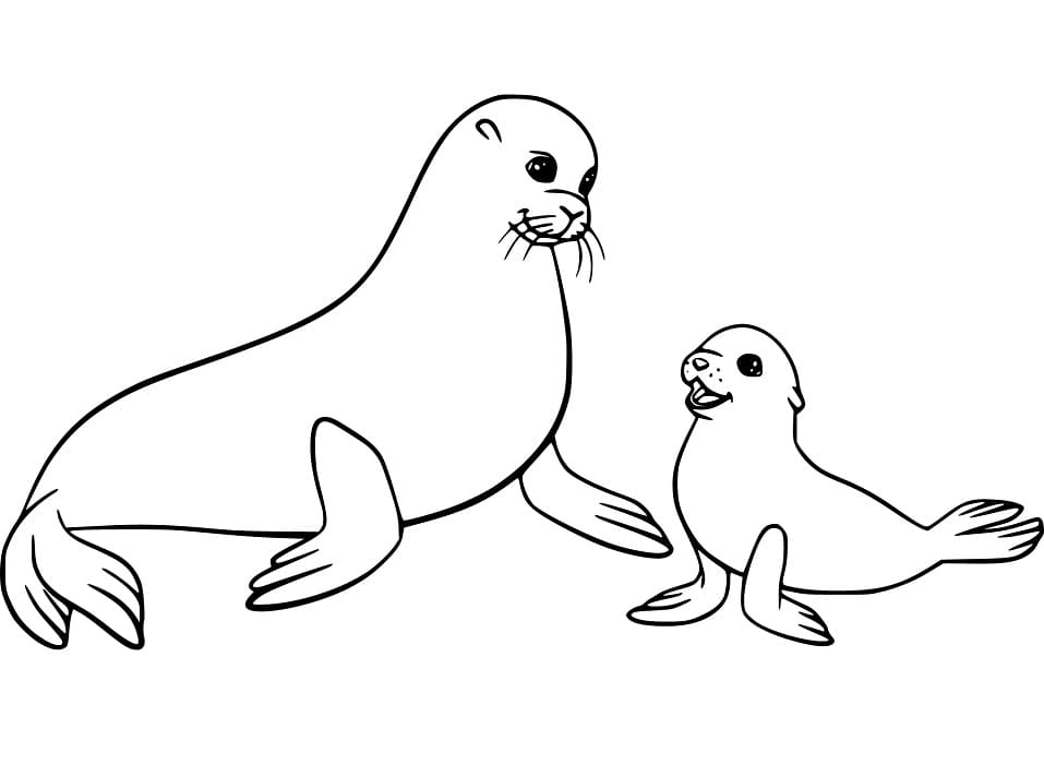 Mother and Baby Sea Lions Coloring Game Mother and Baby Sea Lions
