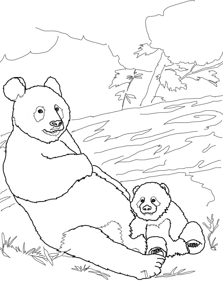 Mother with Baby Panda Coloring Game Mother with Baby Panda