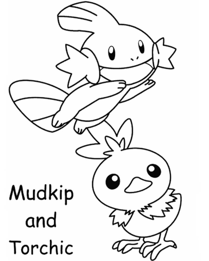 Mudkip and Torchic