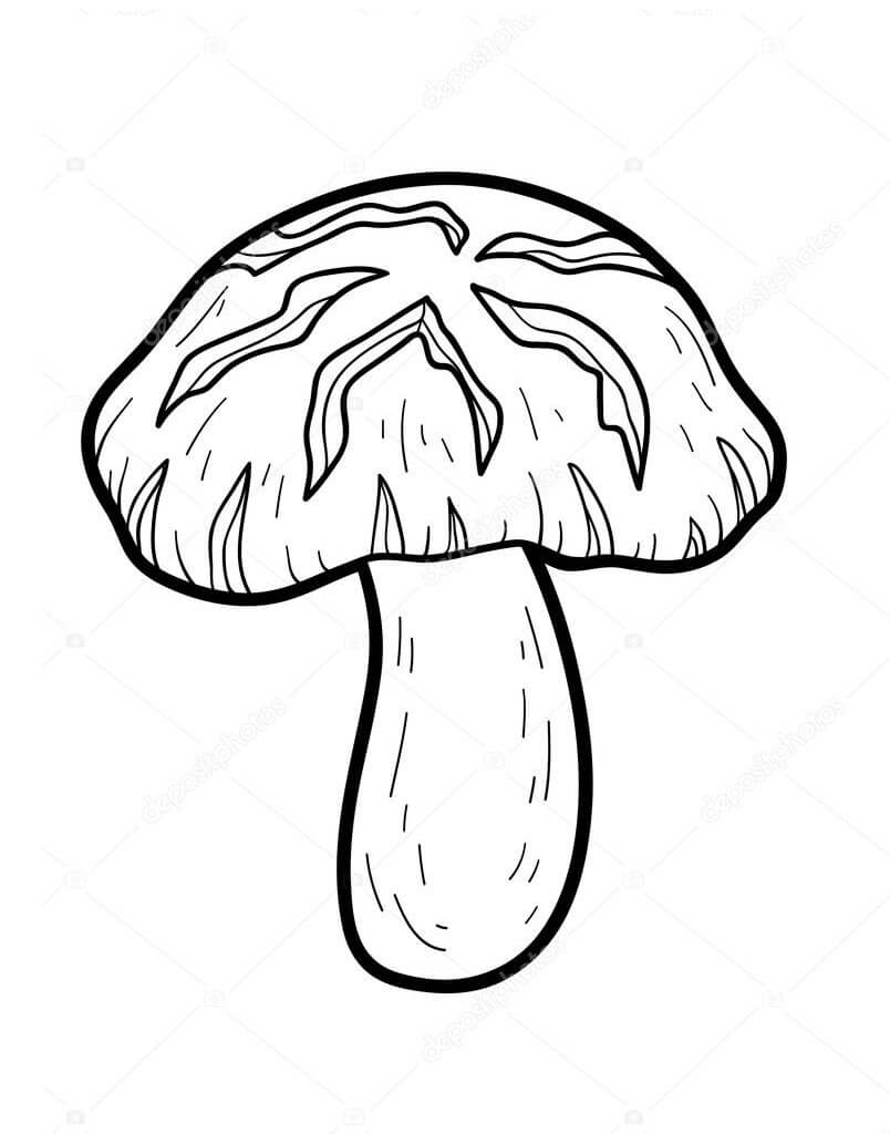 Mushroom 1