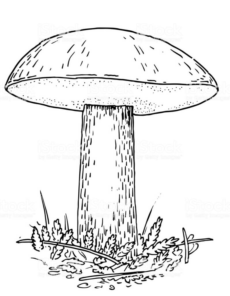 Mushroom 2