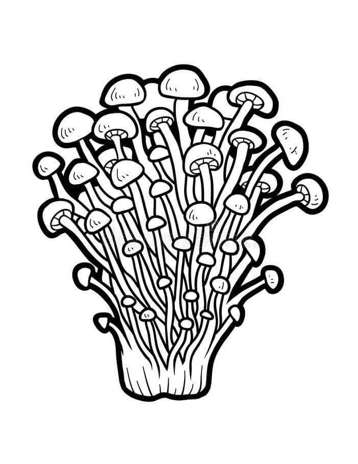 Mushrooms 4