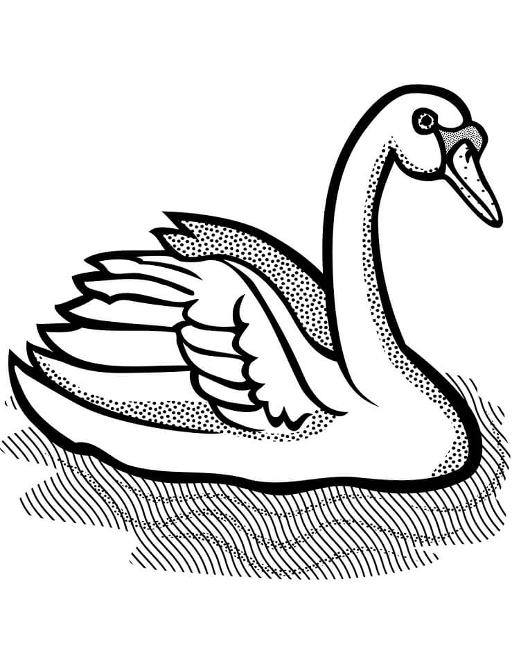 Mute Swan Coloring Game Mute Swan