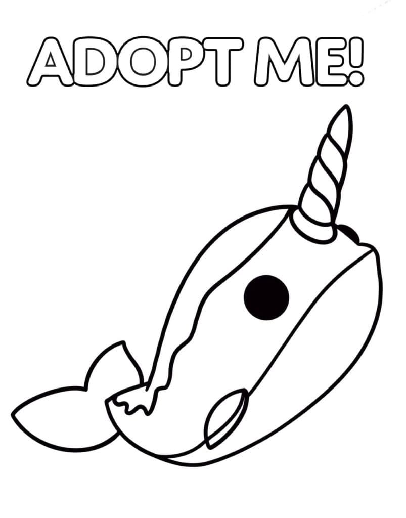 Narwhal Adopt Me