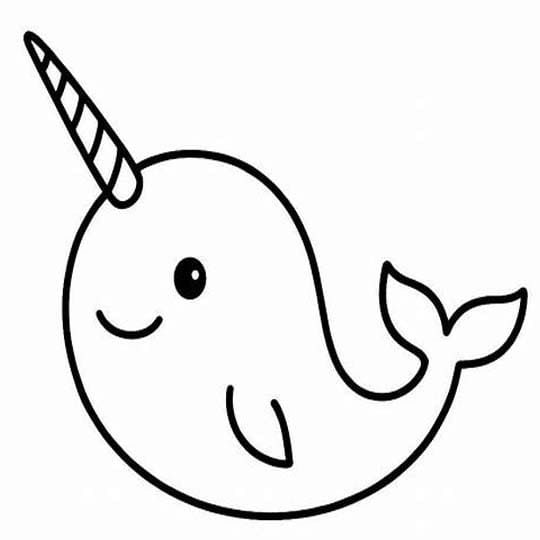 Narwhal Easy
