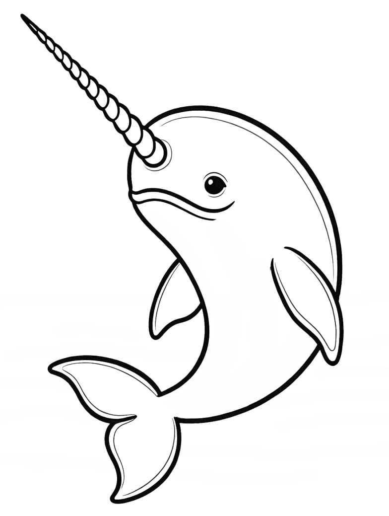 Narwhal Free