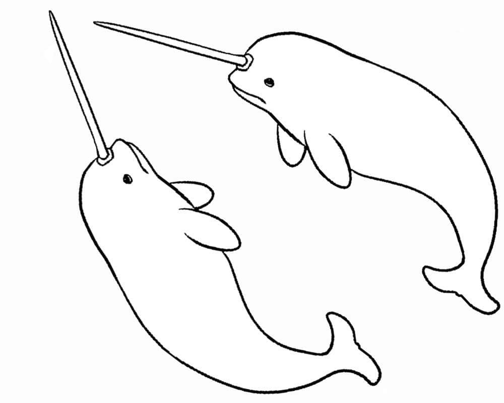 Narwhal Printable