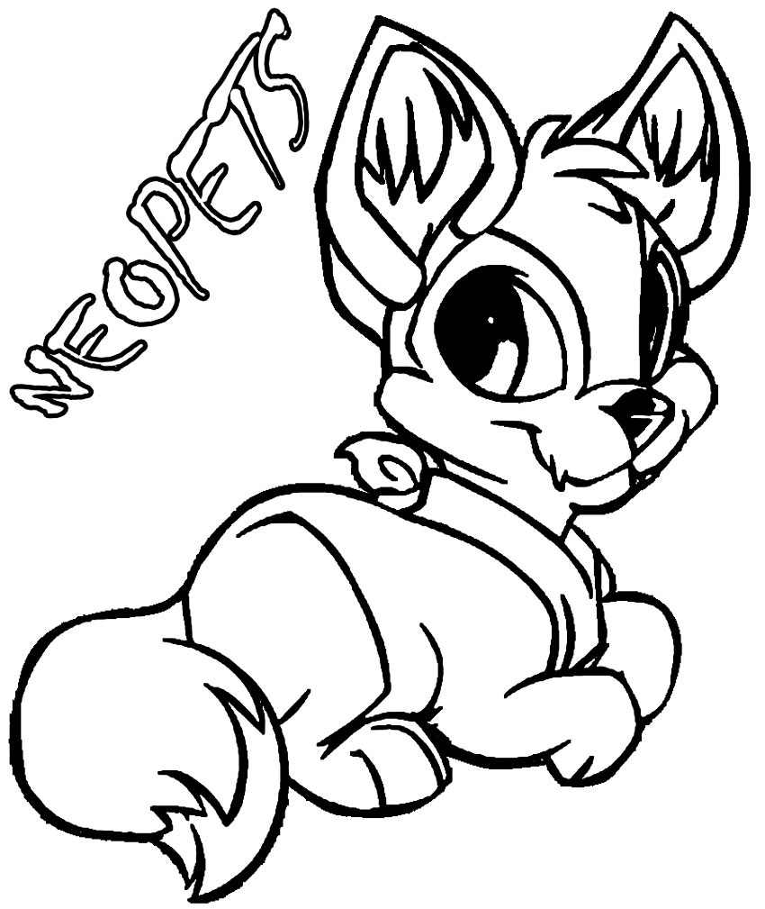 Neopets 16