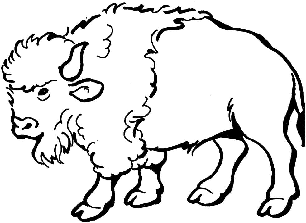 Normal Bison Coloring Game Normal Bison