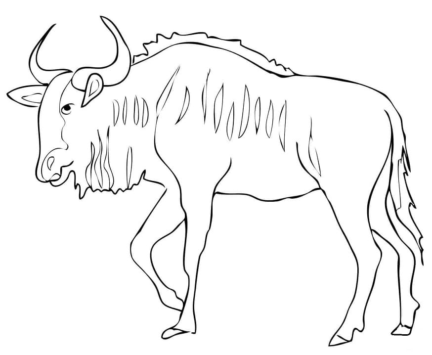 Normal Blue Wildebeest