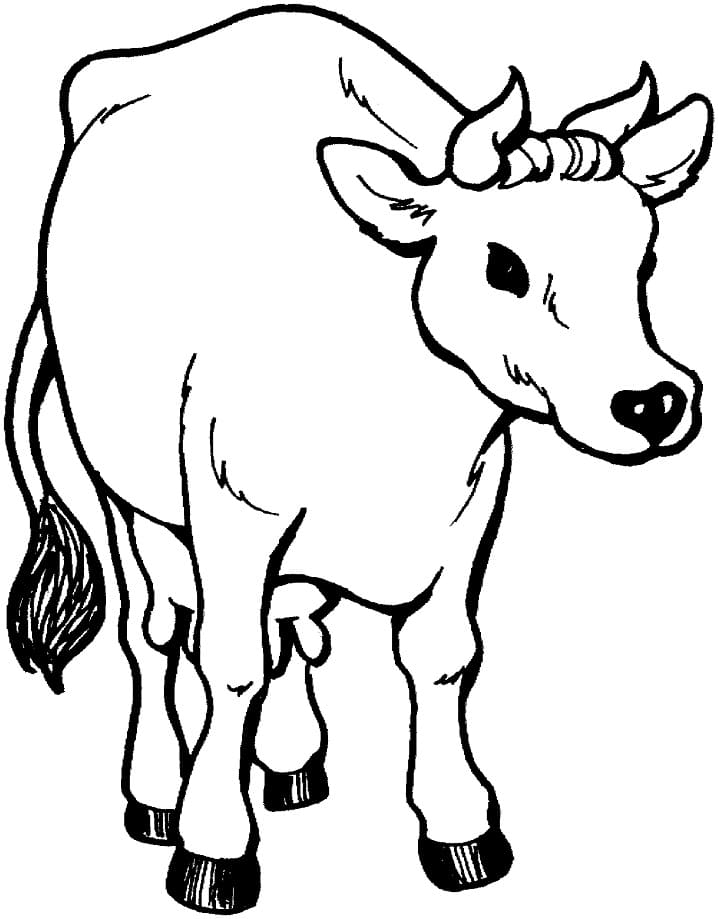 Normal Cow Coloring Game Normal Cow