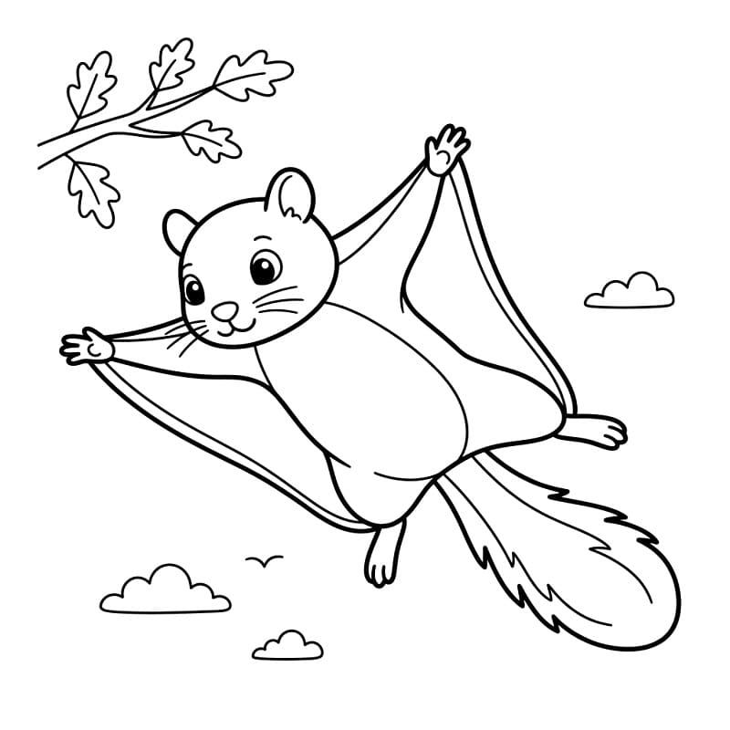 Normal Flying Squirrel