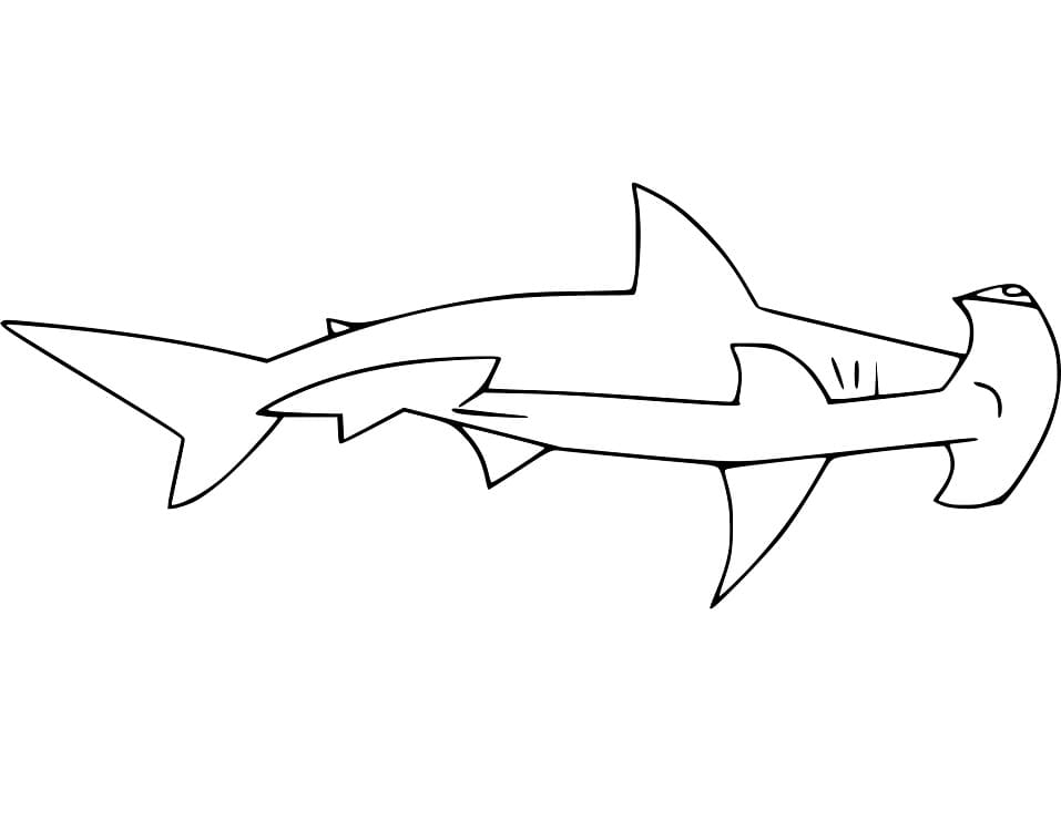 Normal Hammerhead Shark Coloring Game Normal Hammerhead Shark