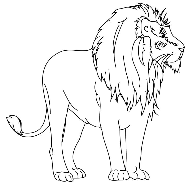 Normal Lion