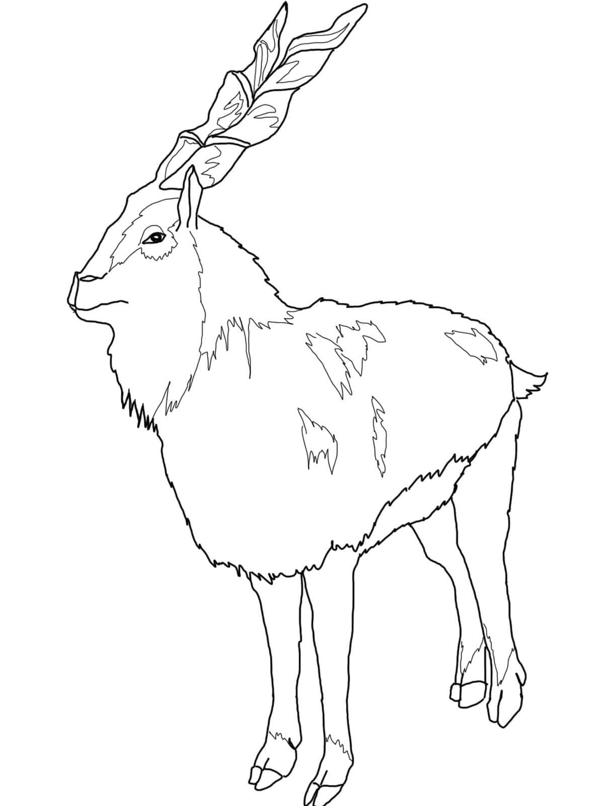 Normal Markhor