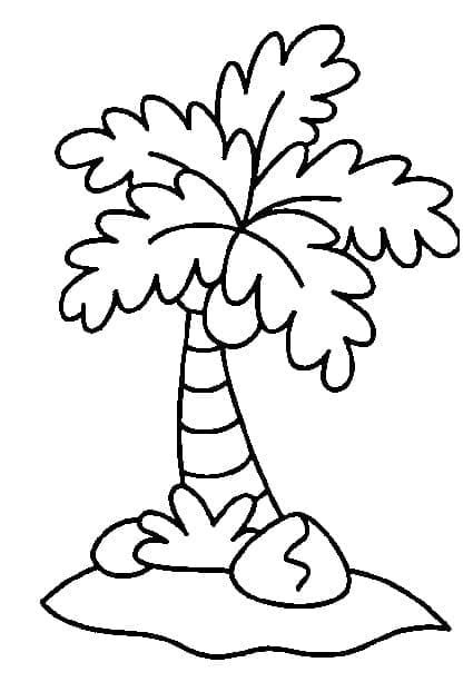 Normal Palm Tree